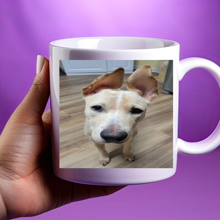 Biskit Mug 11 oz or 15 oz